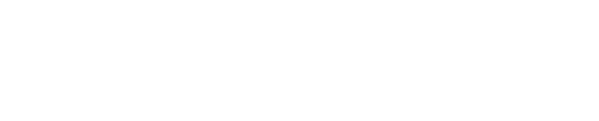 Partner 4